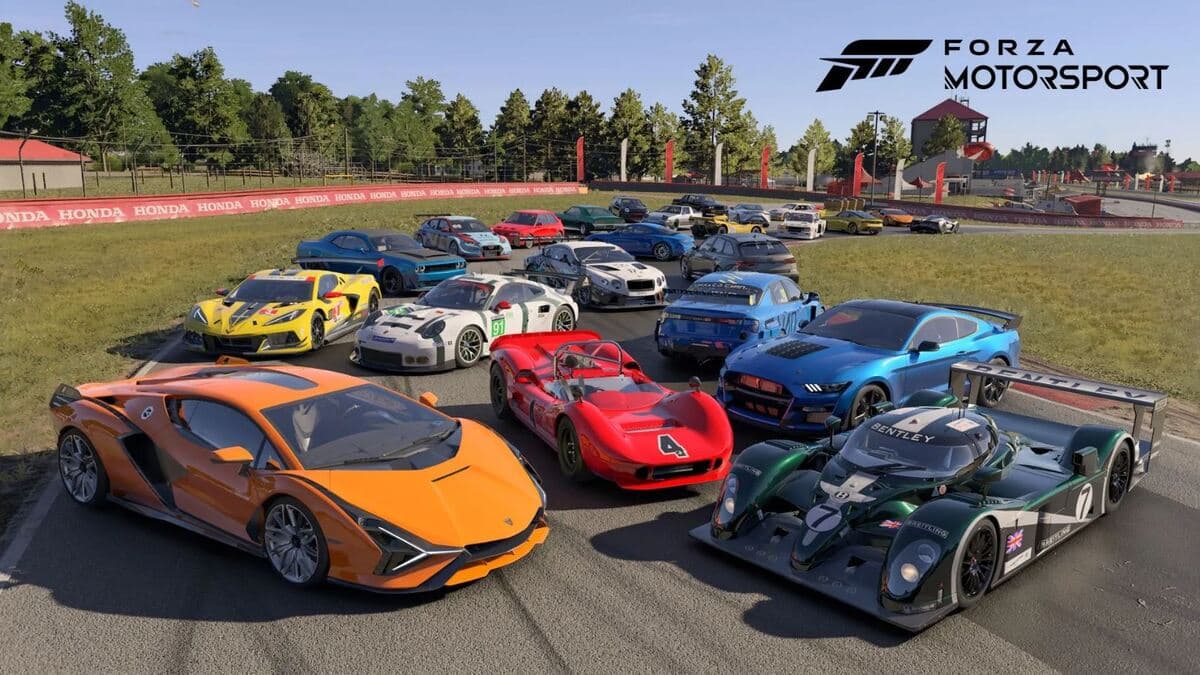 cars lining up on track in Forza Motorsport