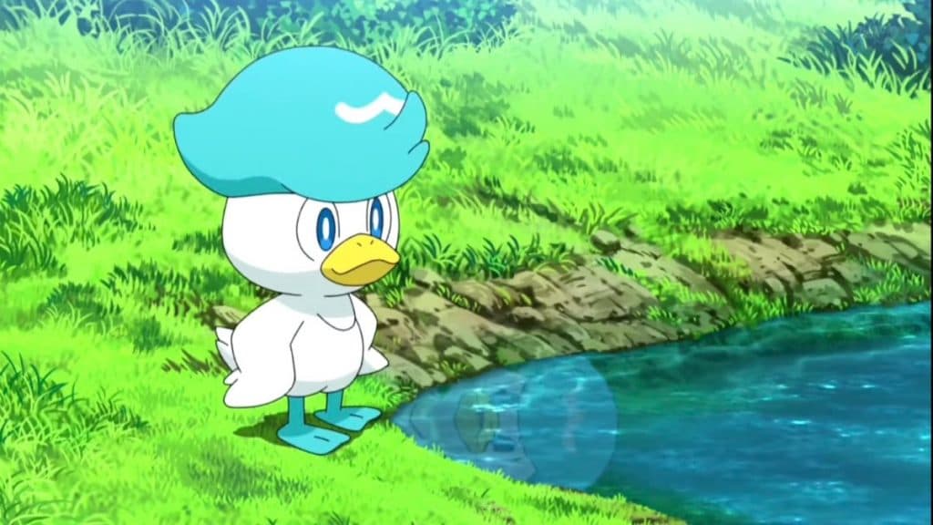 quaxly admiring its reflection in the pokemon scarlet and violet anime
