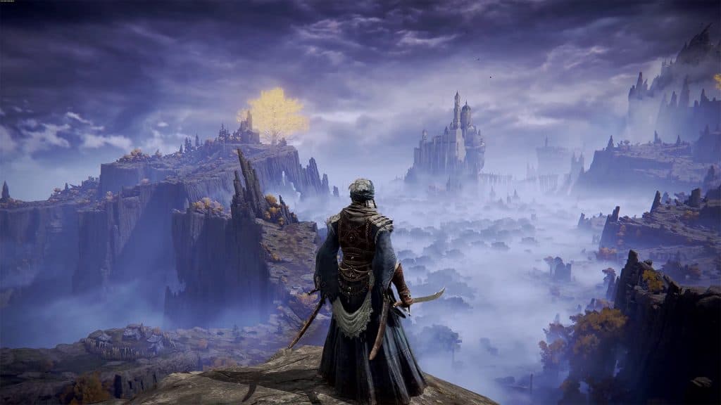 A character in Elden Ring overlooking a cliff.