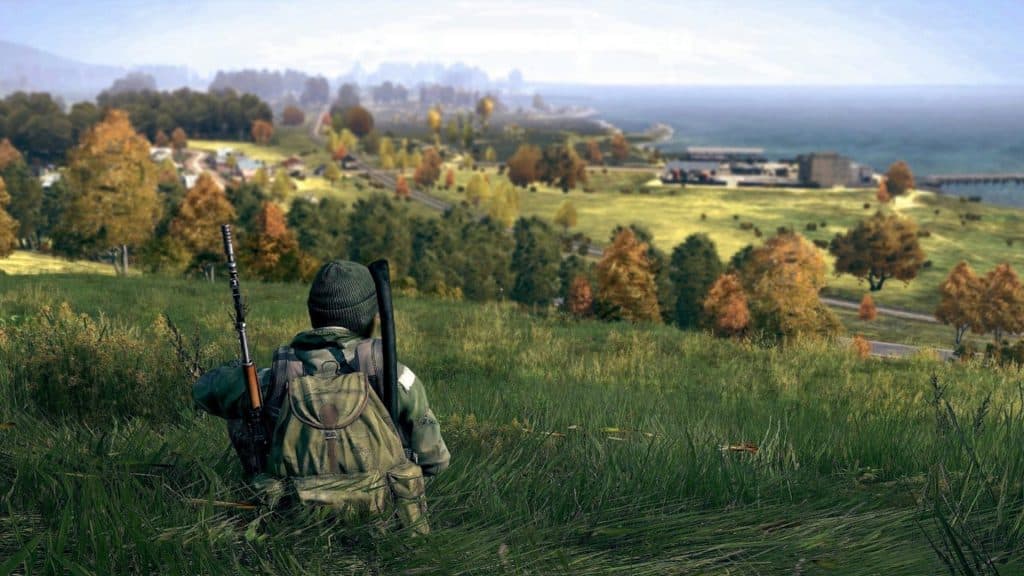 Screengrab of a DayZ character in a grassfield.