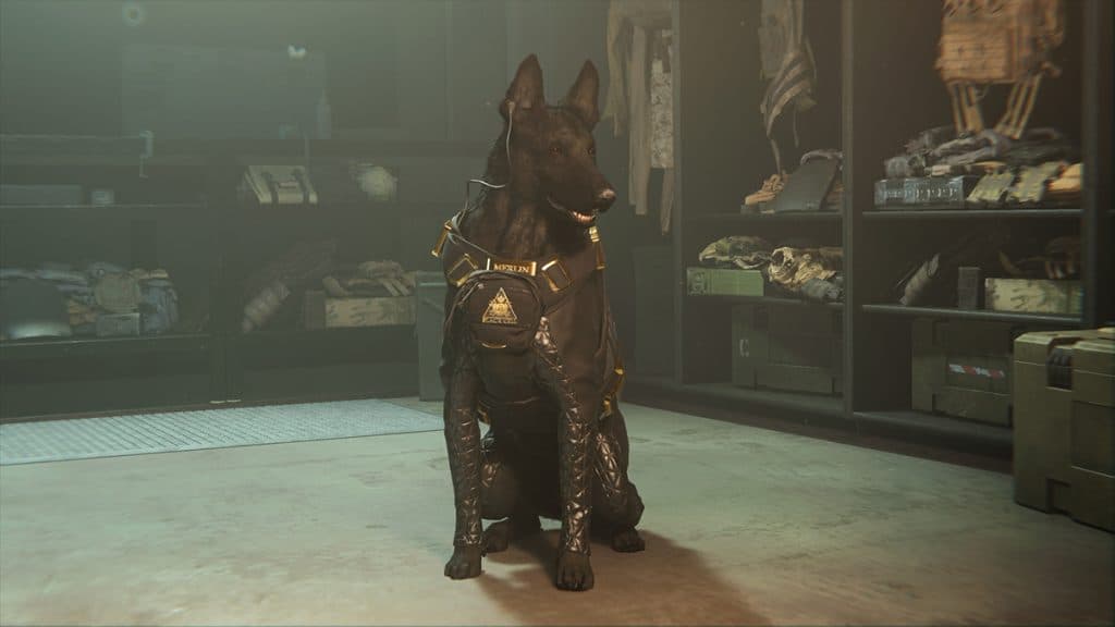 BlackCell Operator's pet Merlin in Modern Warfare 2 and Warzone 2 Season 5