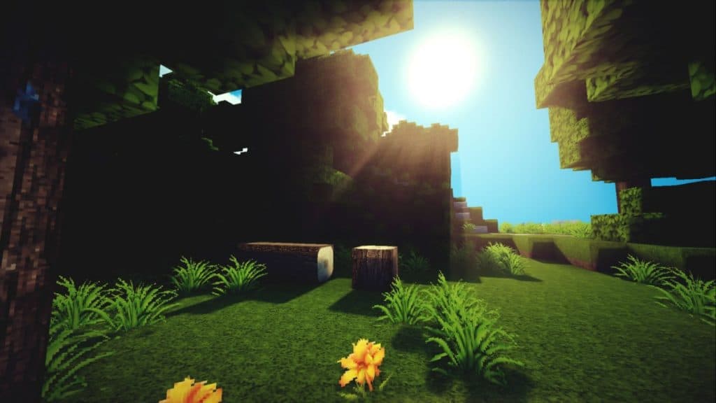 Minecraft with shaders.