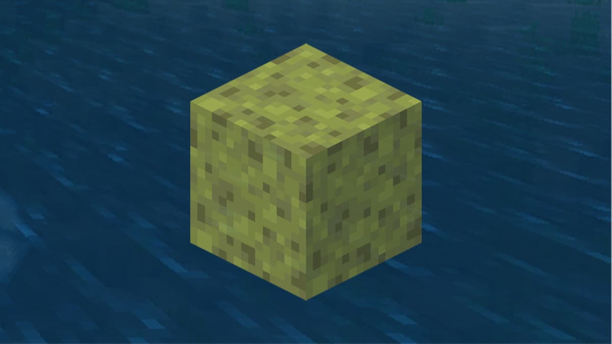 Sponge in Minecraft