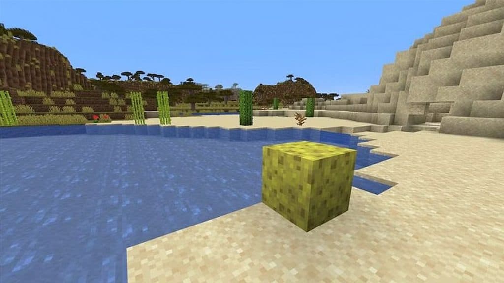 Minecraft sponge on land