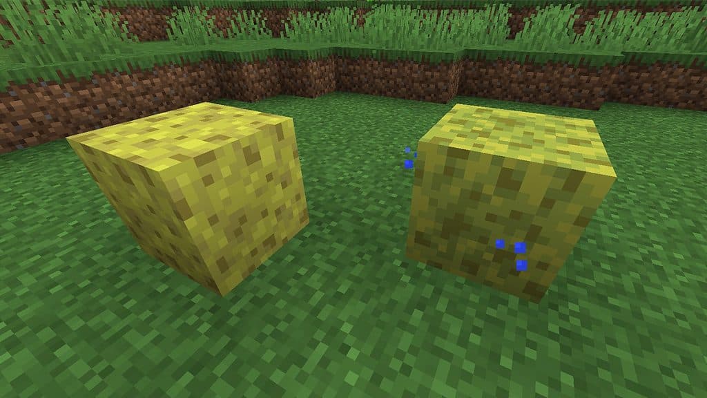sponges in Minecraft