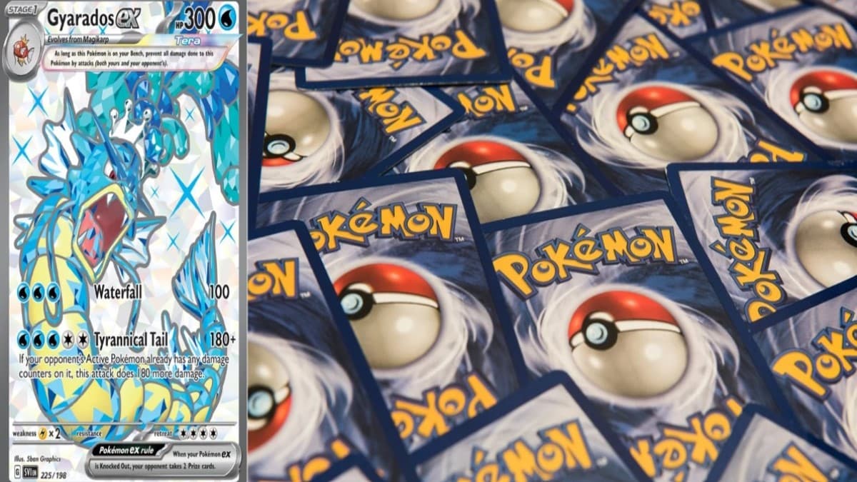 pokemon tcg gyaradox ex card promo image