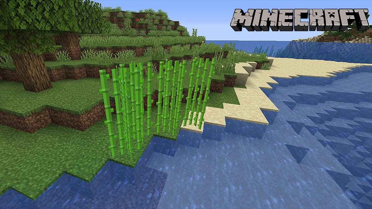 Sugar Cane in Minecraft