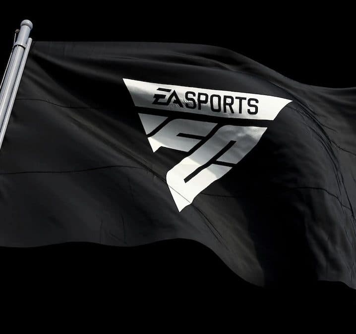 EA FC 24 flag