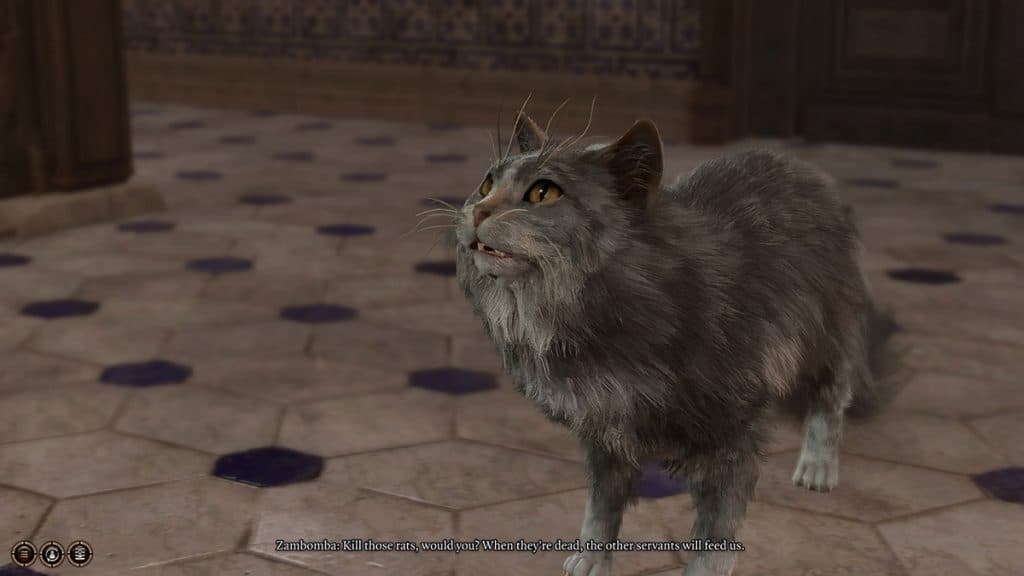 Игрок Baldur’s Gate 3 делится «впечатляющим» способом прохождения игры в форме кошки