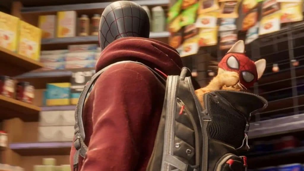 Spider-Man with a Budega Cat in his bagpack