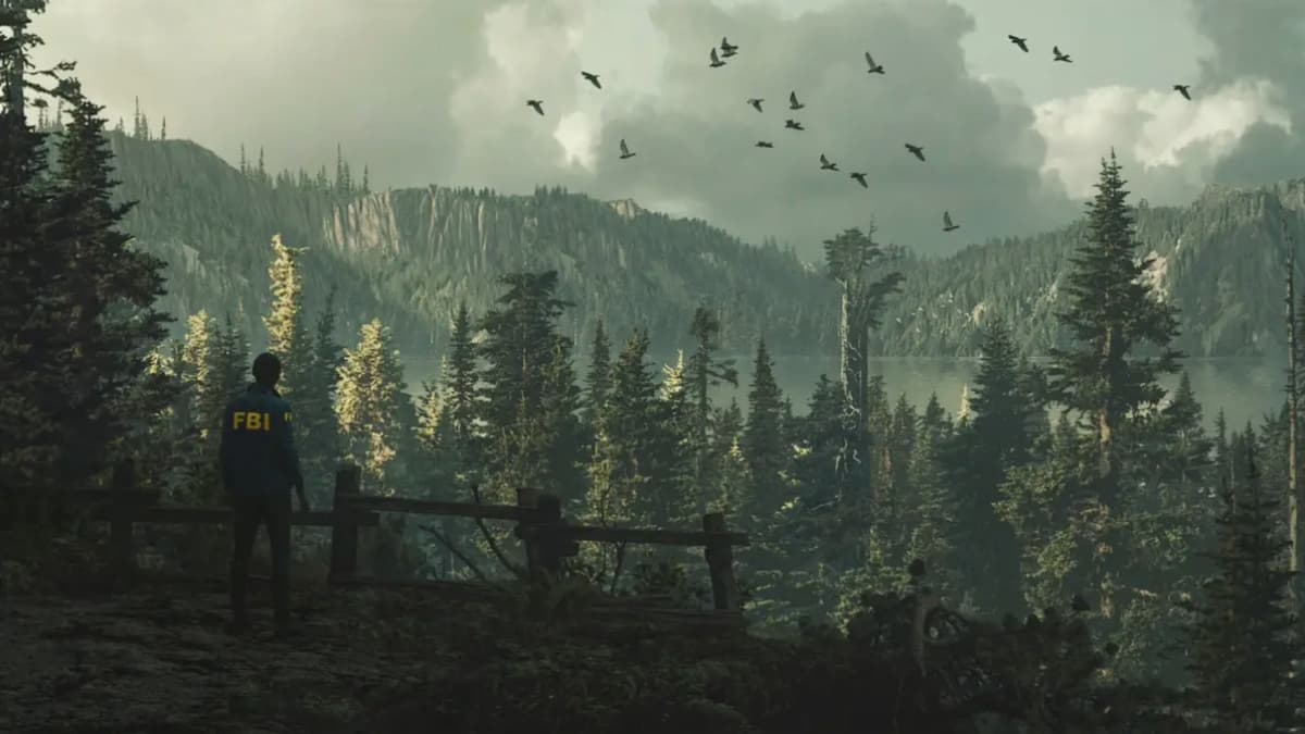 A scenic vista in Alan Wake 2