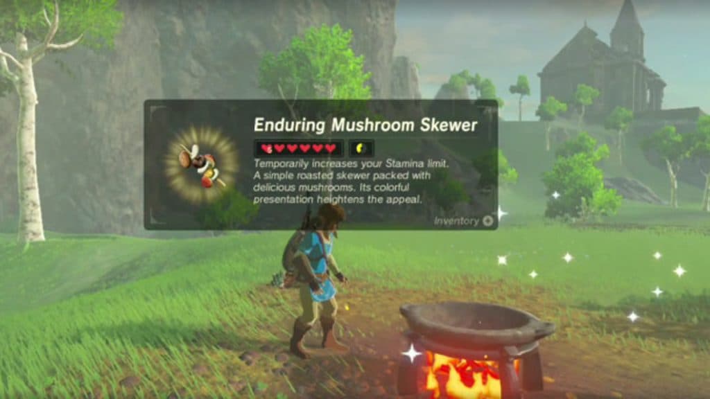 Link standing with a cooking pot in Zelda Breath of the Wild
