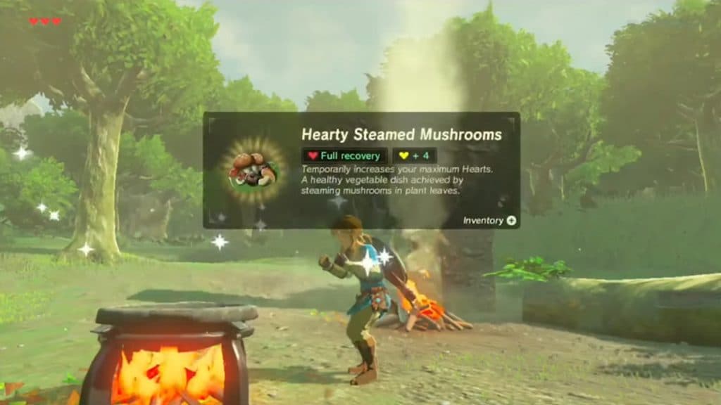 Link cooking in a cooking pot in Zelda Breath of the Wild