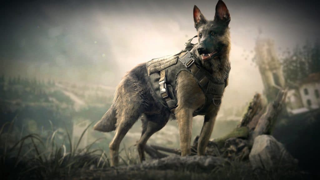 Riley dog from Call of Duty Ghosts