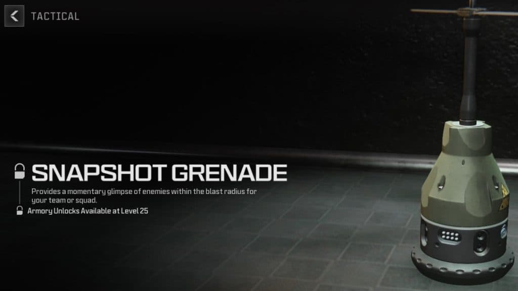 Snapshot Grenade in MW3