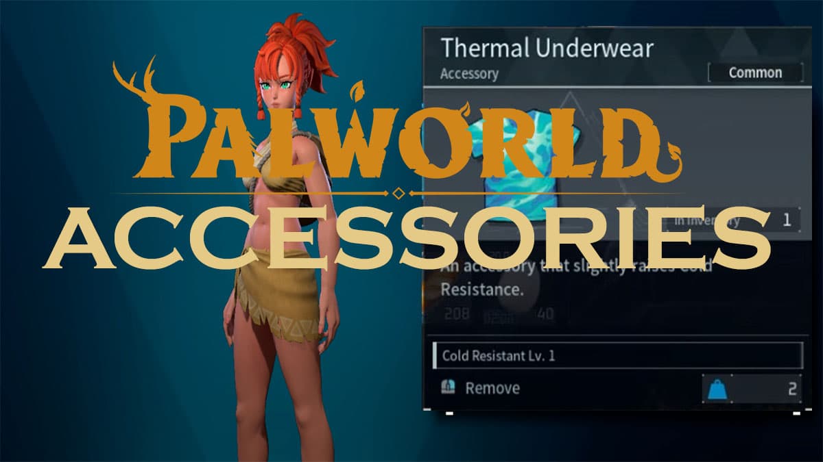 Palworld Accessories