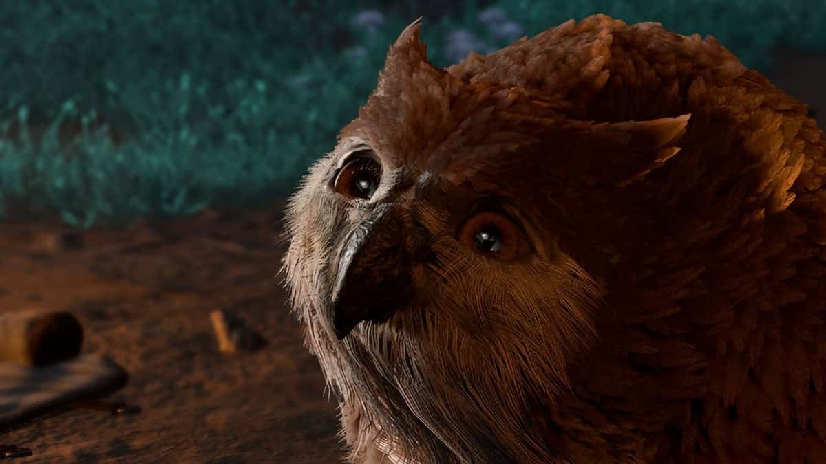 The Owlbear Cub in Baldur's Gate 3