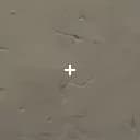 cNed's crosshair in Valorant.