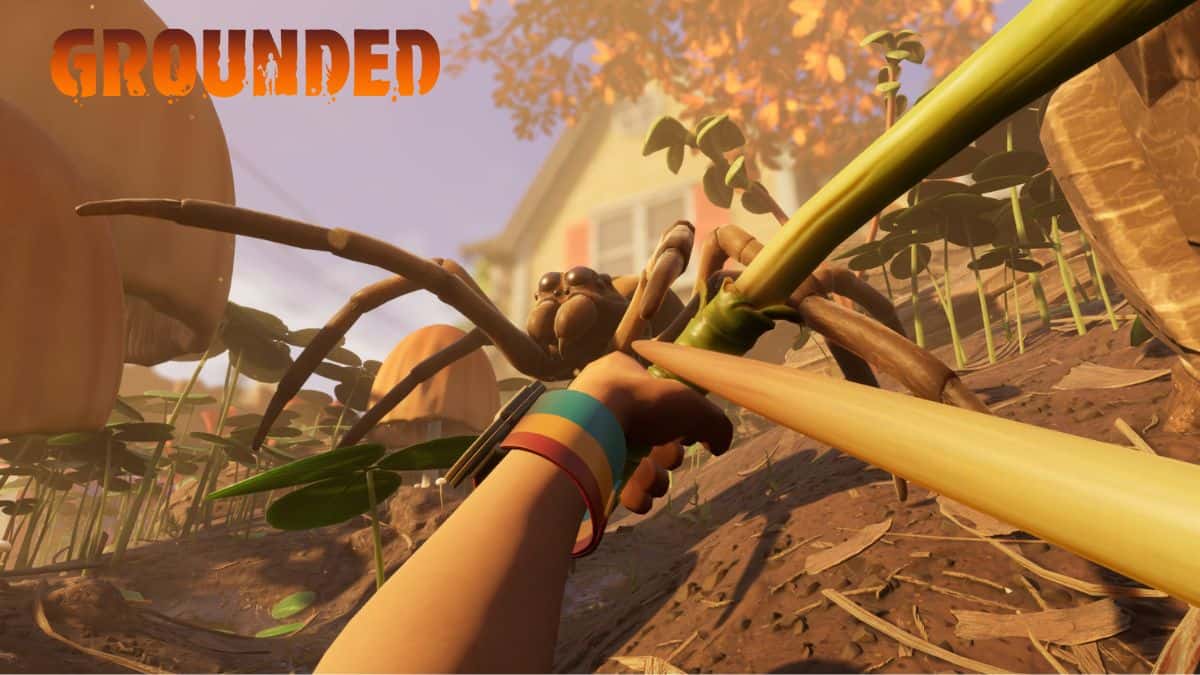 Player fighting a spider in Grounded