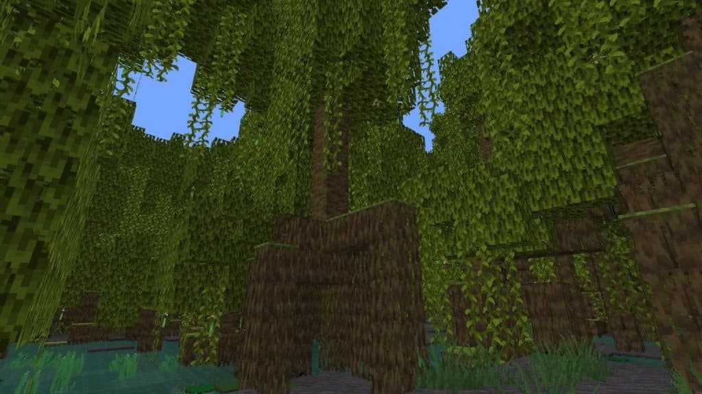 Mangrove Forest in Minecraft