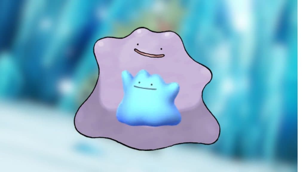 A Shiny Ditto and standard Ditto