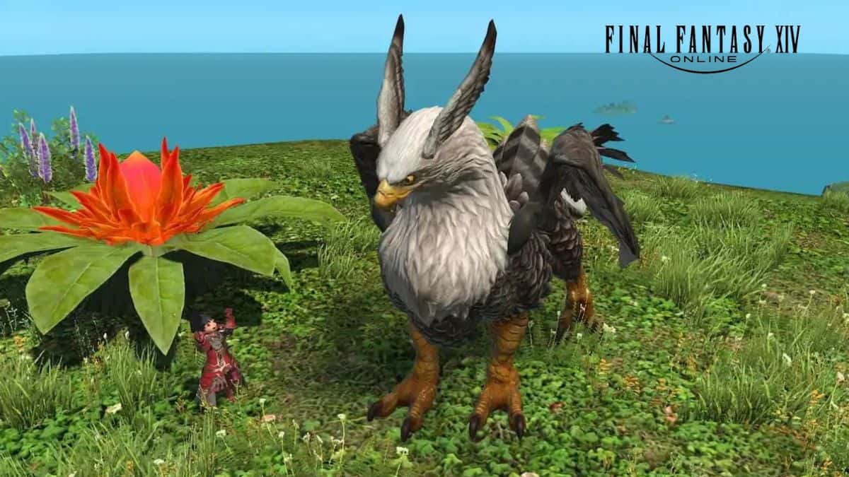 Griffin in Final Fantasy 14