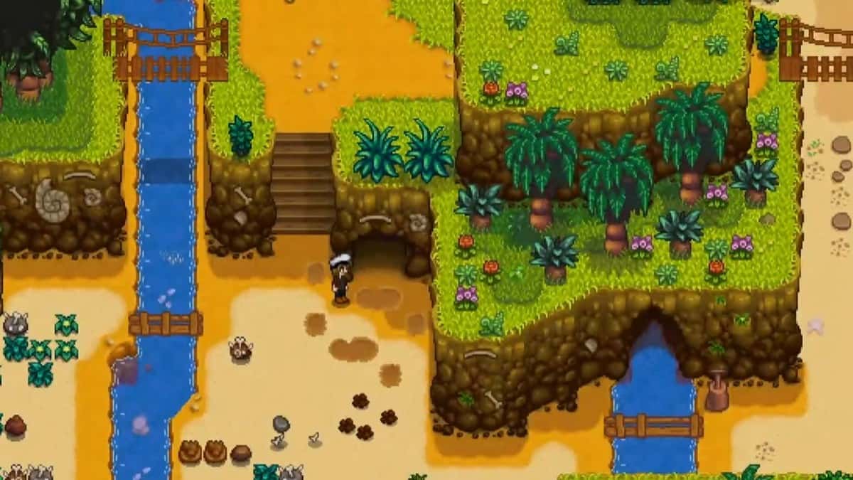 Stardew Valley player in front of the cave where Professor Snail is trapped on the Ginger Island