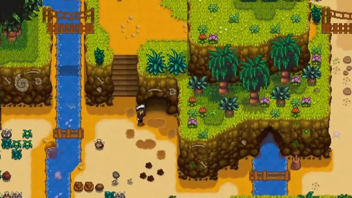 Stardew Valley player in front of the cave where Professor Snail is trapped on the Ginger Island