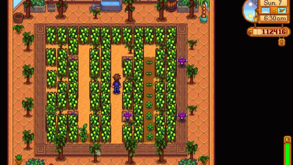 Greenhouse layout for trellis crops in Stardew Valley