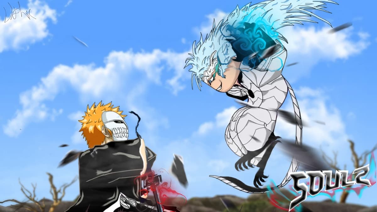 Two Bleach Soulz characters.