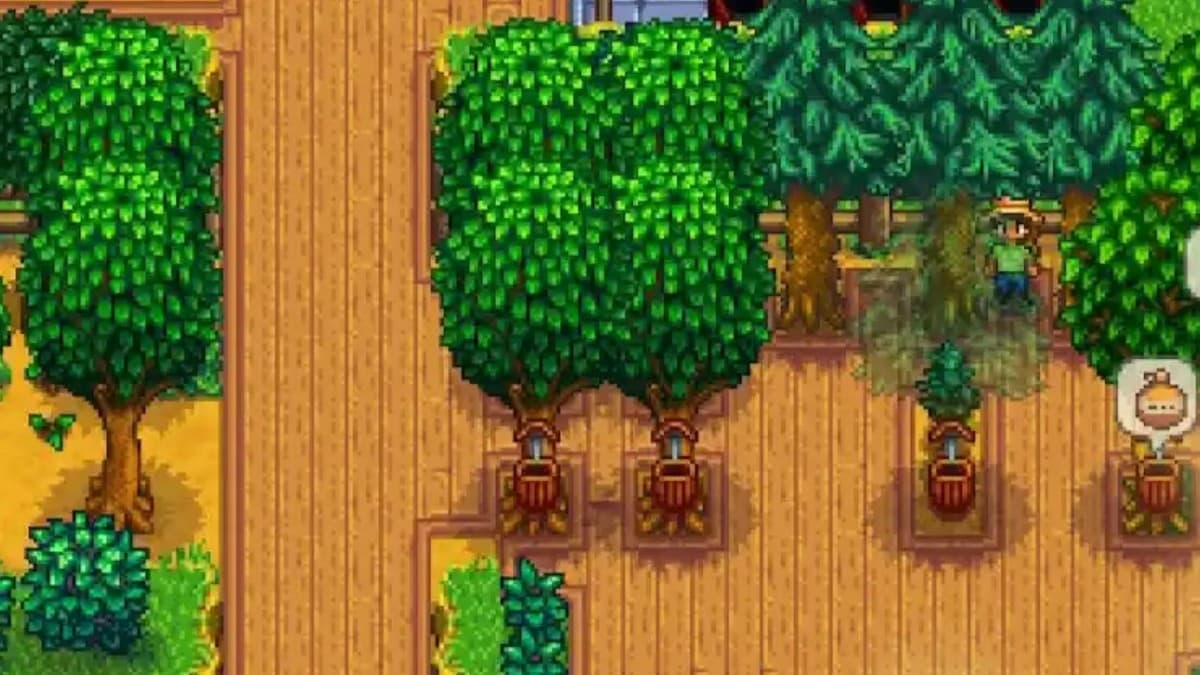 Stardew Valley player with maple tree farm for maple syrup generation