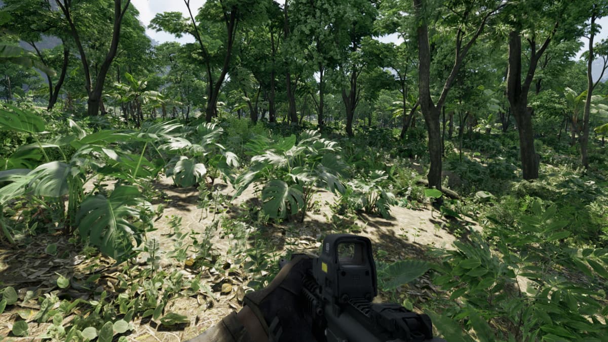 Exploring a forest in Gray Zone Warfare